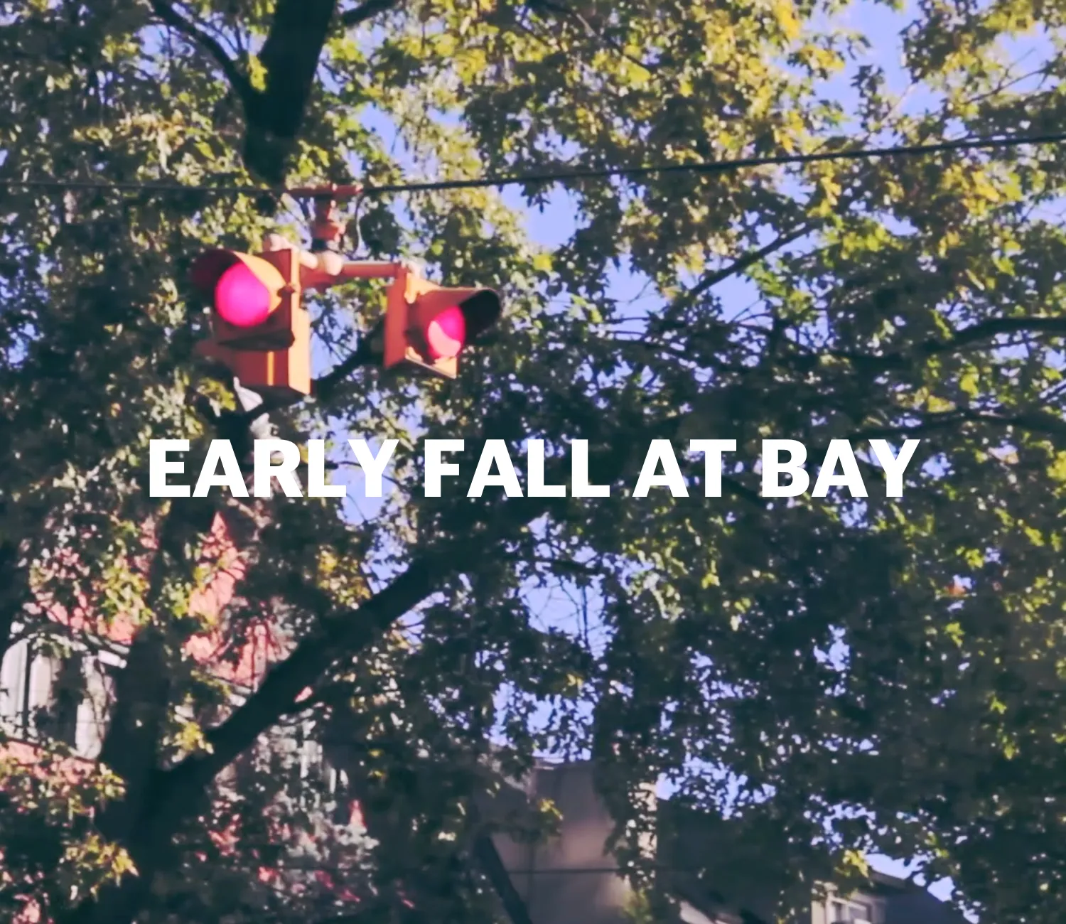 Bay